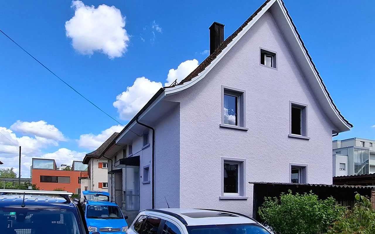 graue maus zum hingucker 02